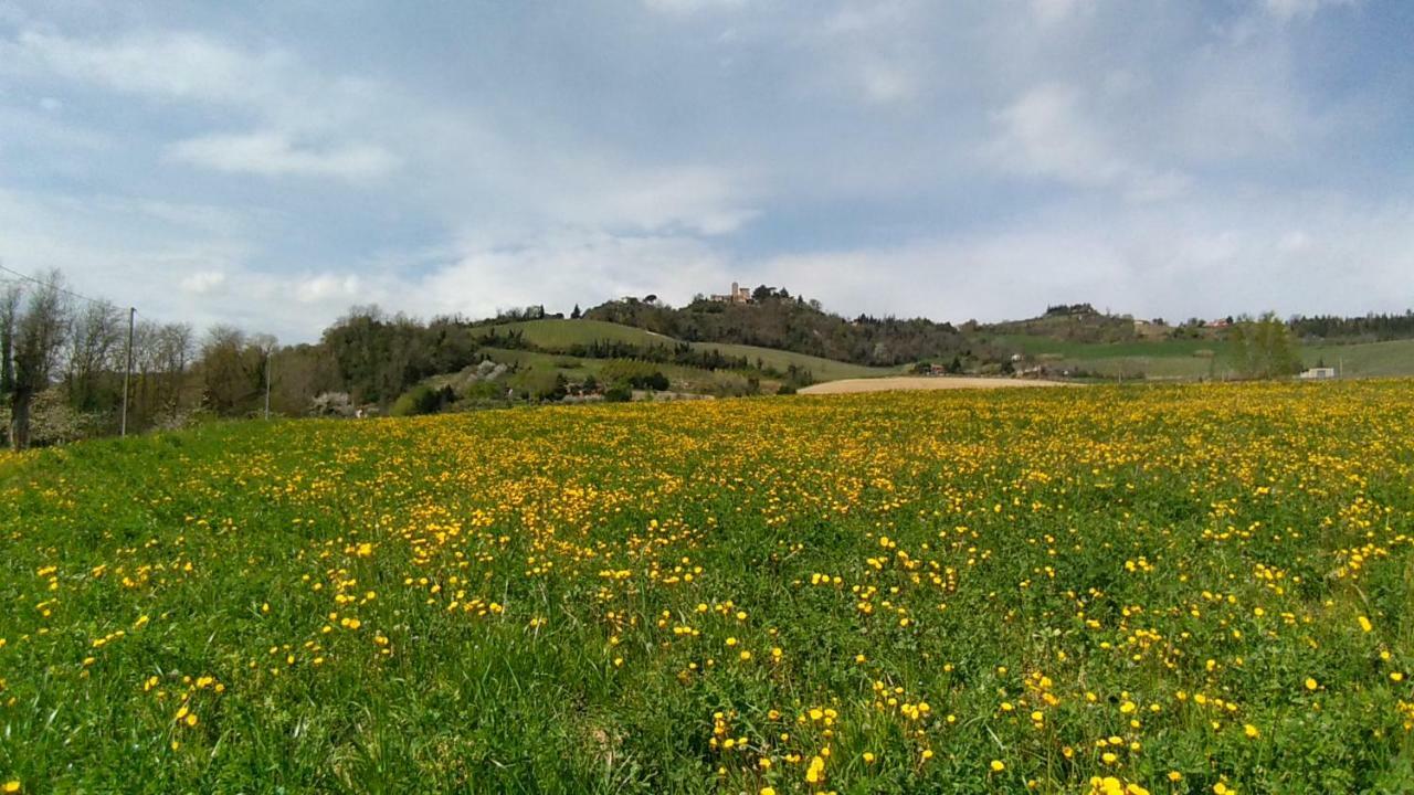 Le Spighe Agriturismo Cesena Exterior foto