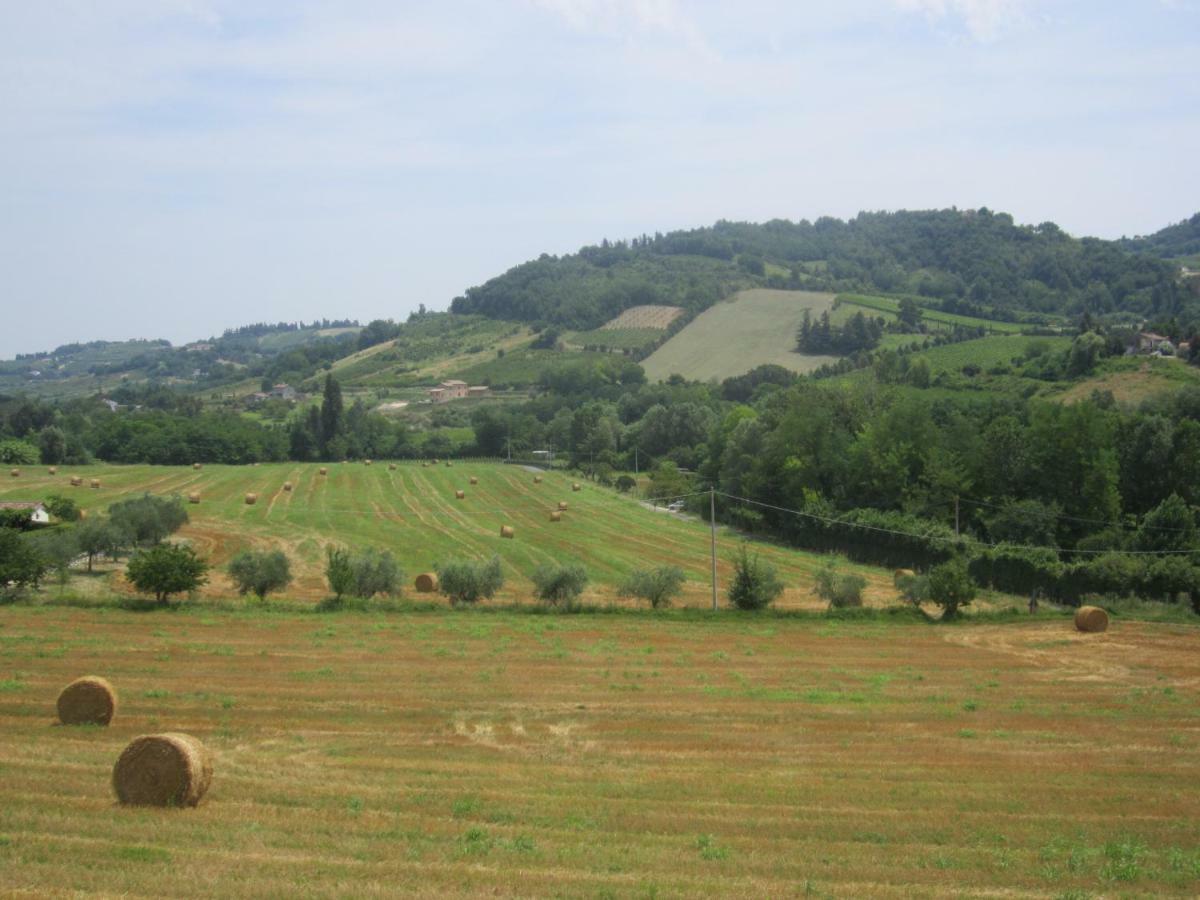 Le Spighe Agriturismo Cesena Exterior foto